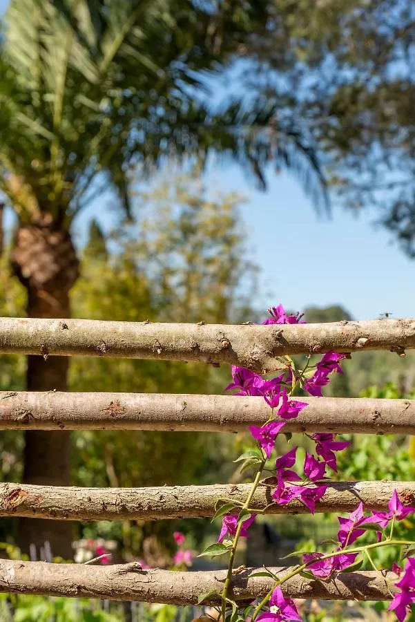 Agroturismo Son Foguero - Adults Only Maria De La Salut Hotel