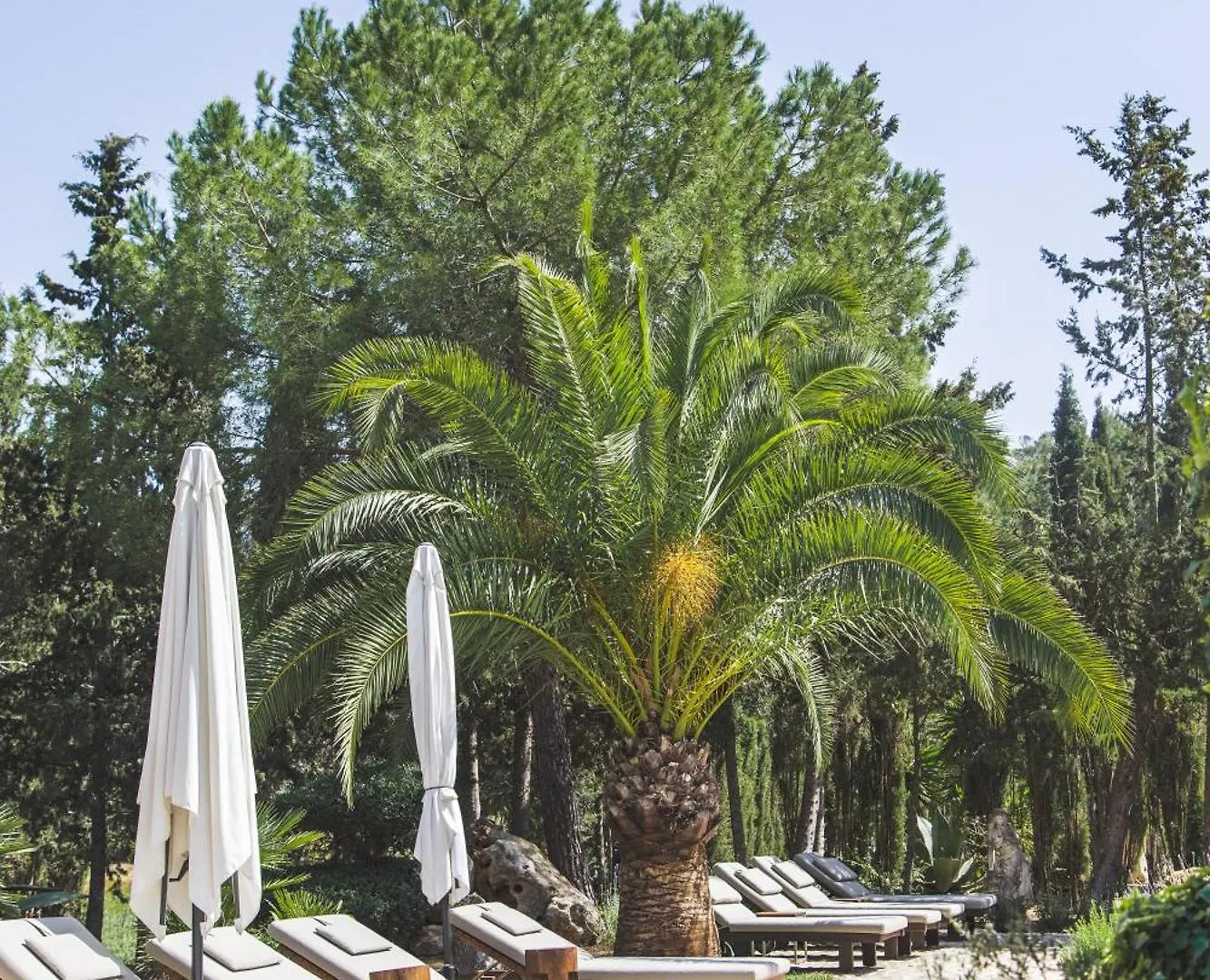 Agroturismo Son Foguero - Adults Only María de la Salud Hotel