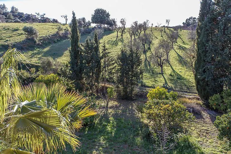 Agroturismo Son Foguero - Adults Only María de la Salud 4*,  Spagna